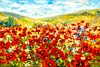 The Poppies field 2